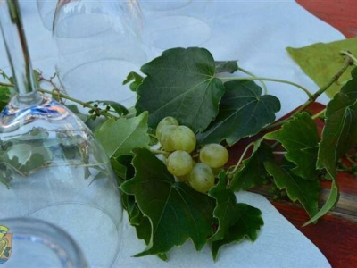 Zollinger Weinfest 2025
